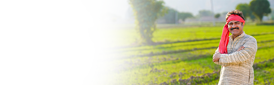 Maximise Your Farm's Potential with the Kisan Gold Card: Loan for Crop Production Maximise Your Farm's Potential with the Kisan Gold Card: Loan for Crop Production